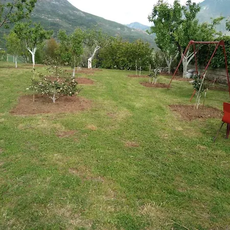 Liam In Center Guest house *